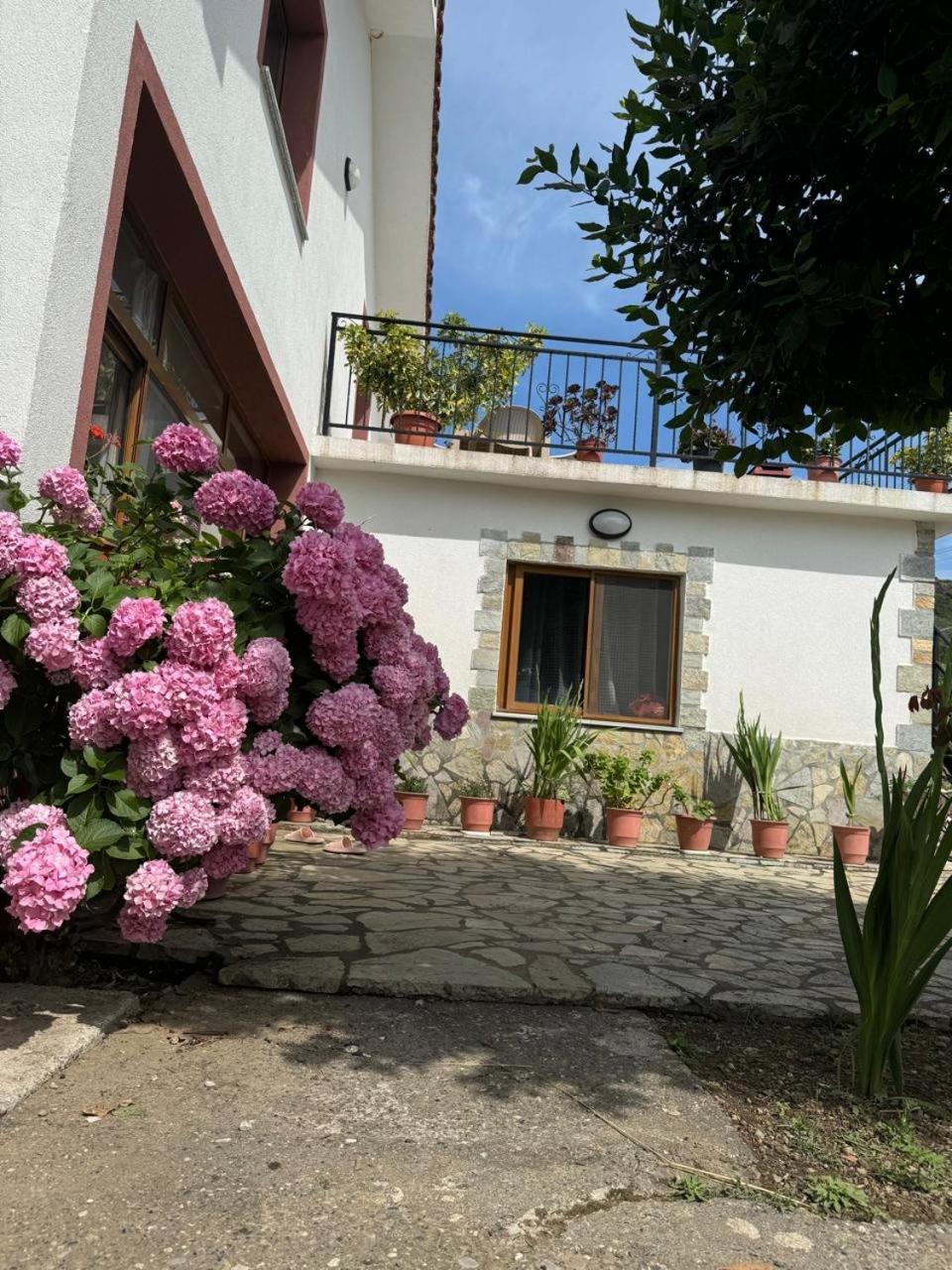 Villa Zefi Rrenc Papaj Kültér fotó