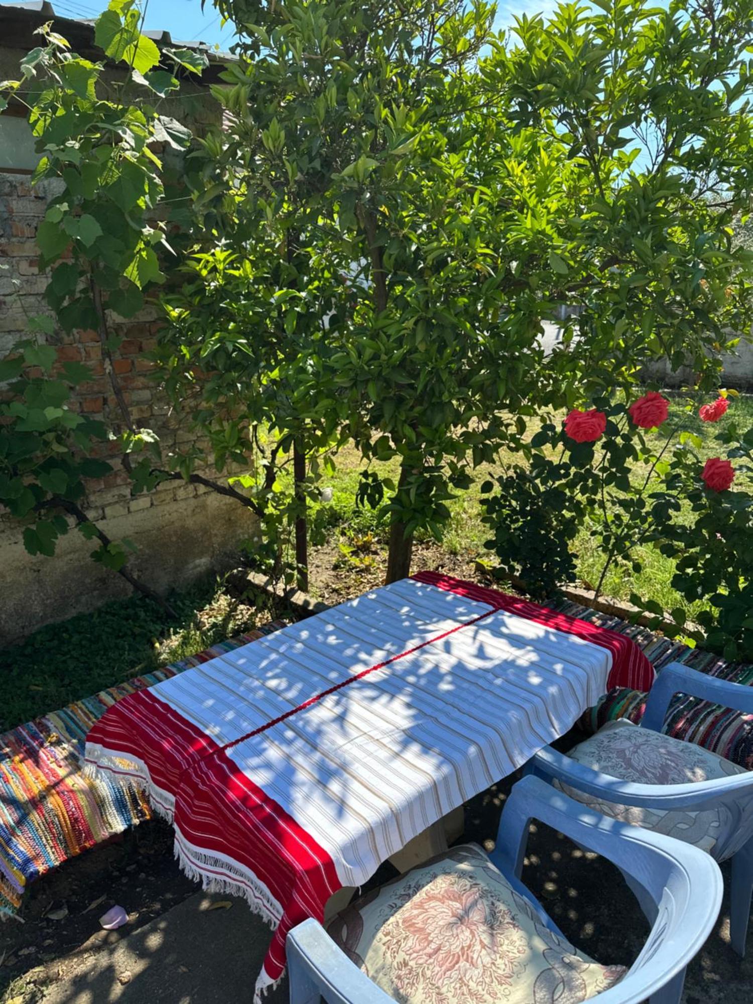 Villa Zefi Rrenc Papaj Kültér fotó
